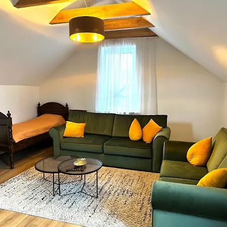 Luxurious Apartment Klaipeda