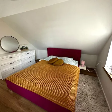 Luxurious Apartment Klaipeda